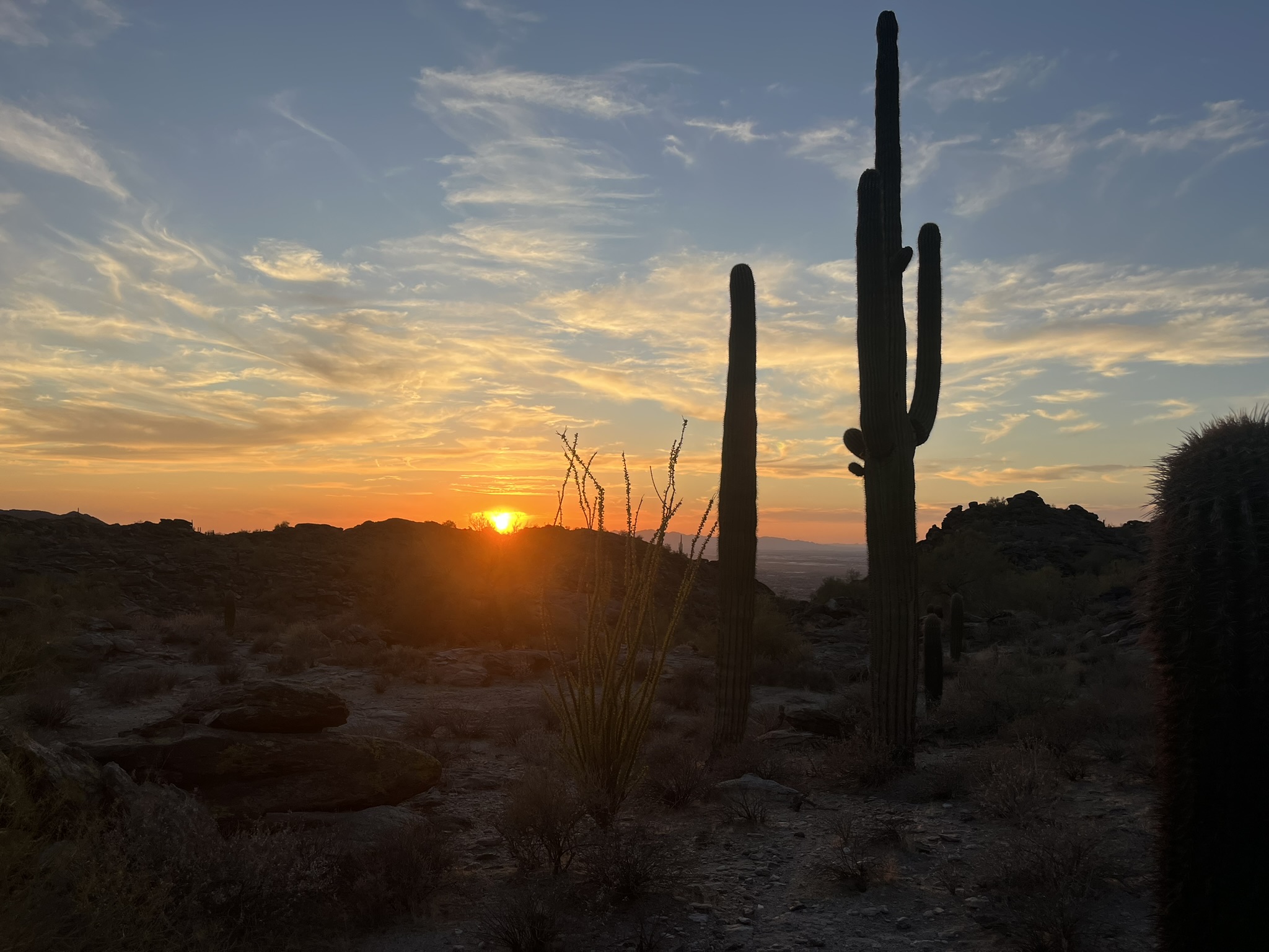 South Mountain landscape