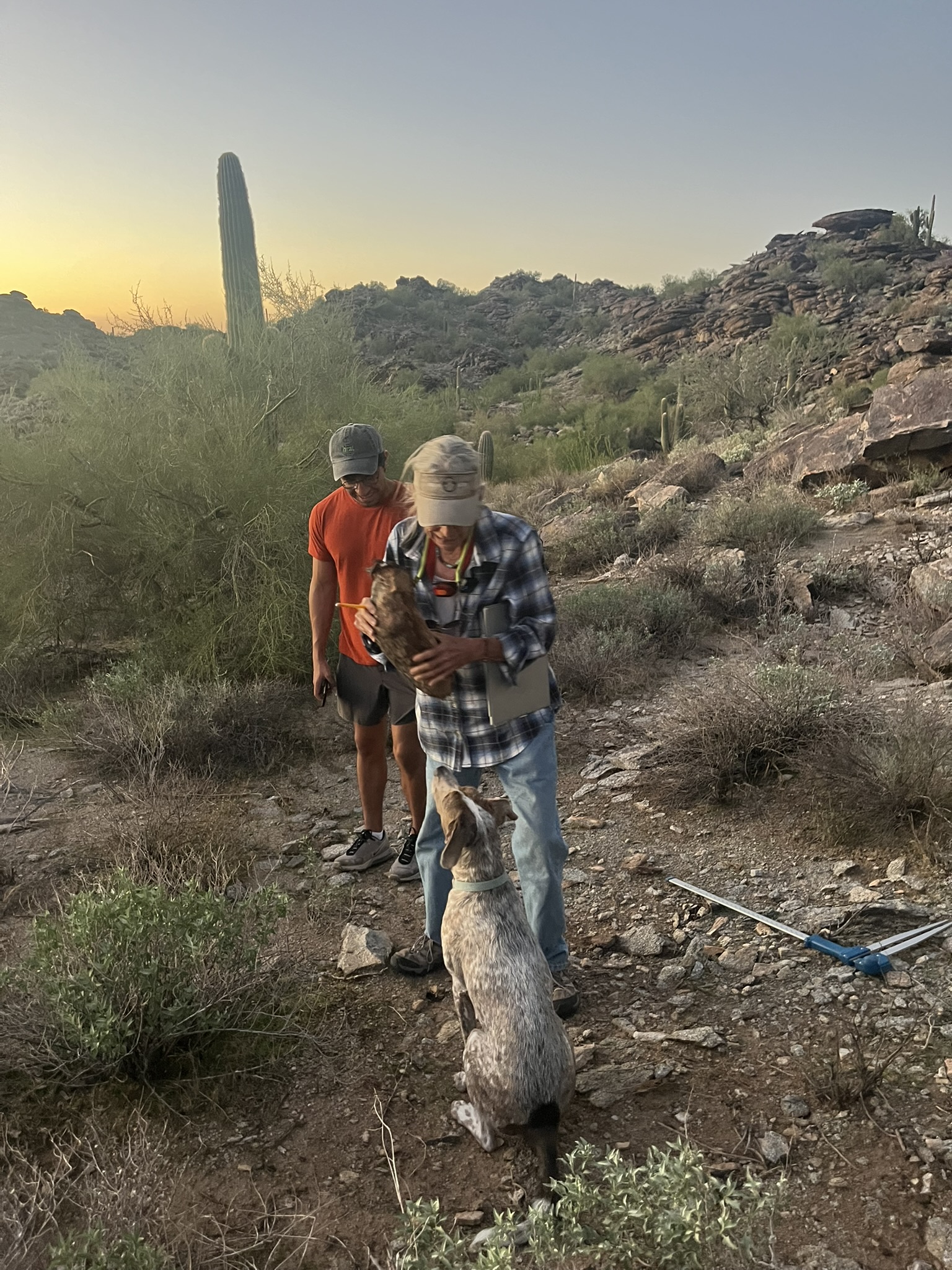 South Mountain landscape