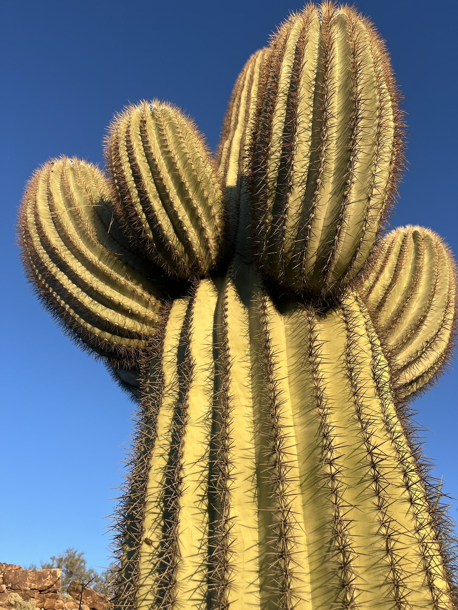 South Mountain landscape