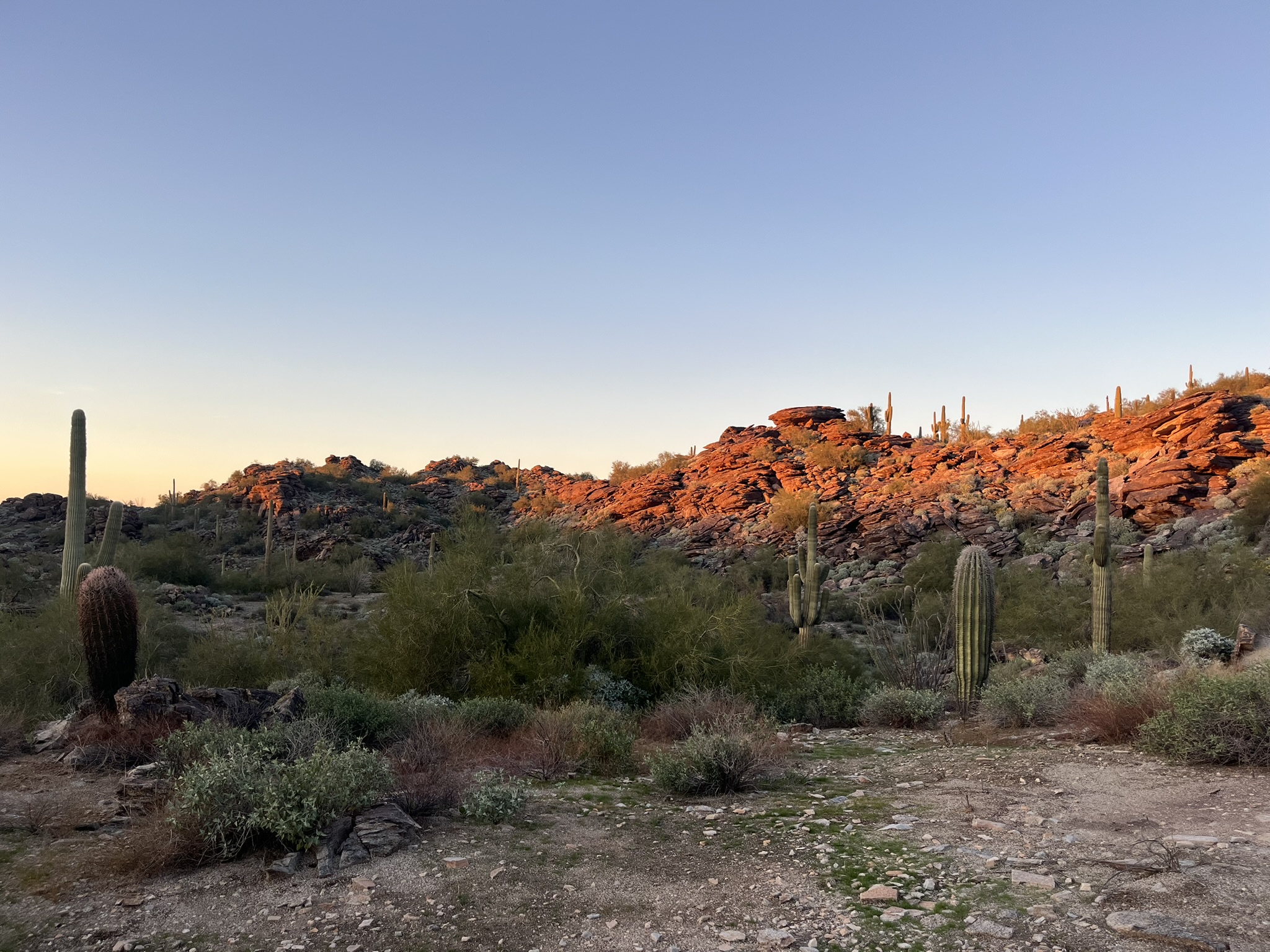 South Mountain landscape